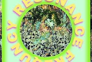 Resonance Frequency: The Real “Law of Attraction” | A Perspective on Material Evolution and Human…