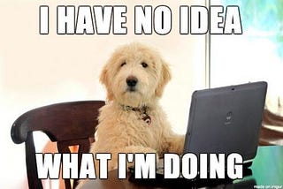 meme with a dog sitting at a computer not knowing what it is doing