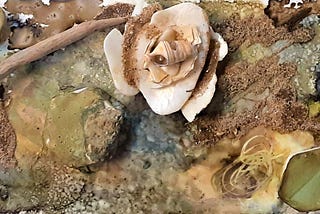 That Could Never Happen in the United States