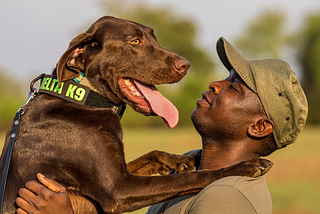 International Dog Day: Canines on the Conservation Front Line