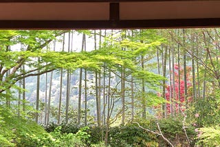 An Intimate Exploration into Kyoto: Serene Solitudes & Timeless Tales