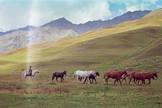 Lessons from Tusheti’s Shepherds