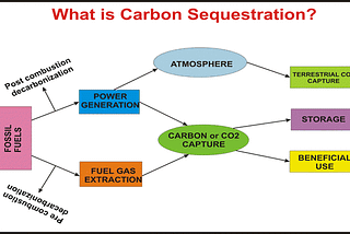 CARBON SEQUESTRATION IN THE SOIL BY USING BIOCHAR