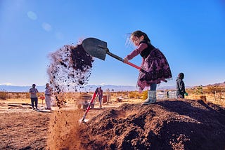 Growing a Butterfly Sanctuary in the middle of nowhere.
