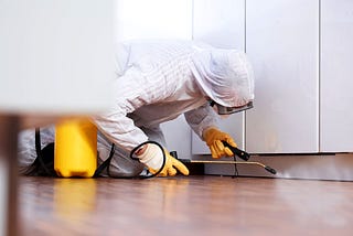 How to Find a Reliable Service for Pest Control in Kitchener