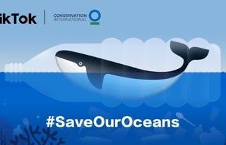 #SaveOurOceans — TikTok et l’ONG Conservation International, luttent contre la pollution des…