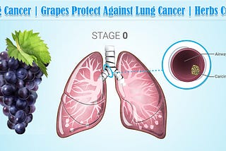 Lung Cancer | Grapes Protect Against Lung Cancer | Herbs Cures