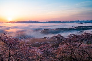 Cherry Blossom Viewing on a Cloud
