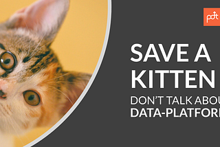 Every time you say Data-Platform, God Kills a Kitten