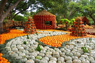 Autumn at the Dallas Arboretum