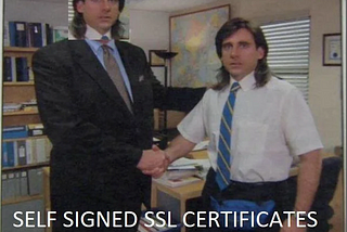 Understanding Digital Certificates: Self-Signed vs. CA-Signed Certificates