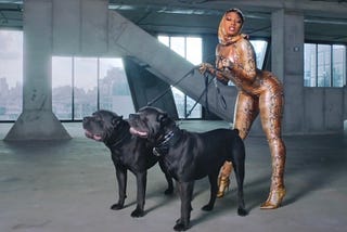 SUGA – Megan Thee Stallion Review