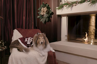 Texas A&M’s Reveille sitting by a jul log is exactly what the world needs during the holidays