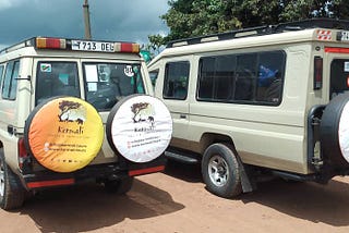 5 Days Luxury Tanzania Safari Experience.