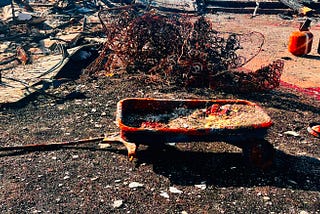 Stop the Rush to Send Students Back to Pacific Palisades