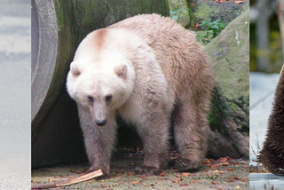 Hybridization RevolutionzOur Understanding Of Evolution