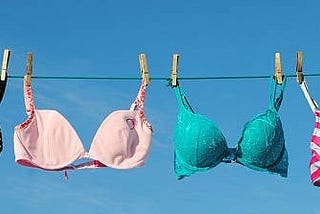 WANTED: A Comfortable and Beautiful Bra