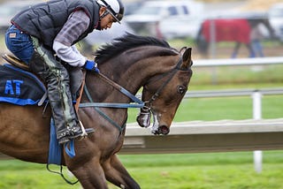 Venture Capital has Thoroughbred Horse Racing