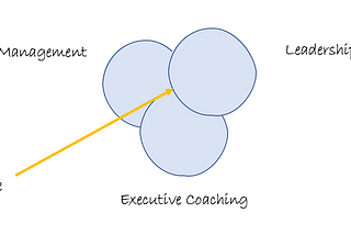 What does it mean to be an Executive Coach to Product leaders (at least to me)