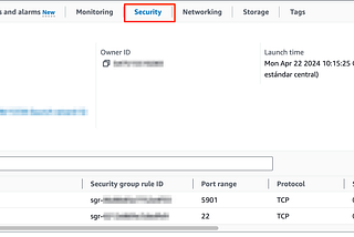 GUI Desktop on EC2 instances using VNC