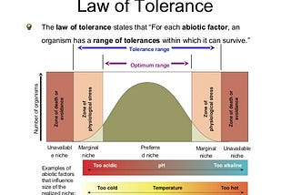 Tolerance