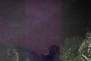 A photograph of a rocky track heading downhill and lit only by flashlight. The verges and hedgerows are silvery with dew and run either side of the track. The night sky is dark apart from tiny spots of starlight scattered across it