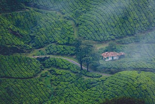 Why Kerala is unique from the rest of the world, The world's best tourist place.