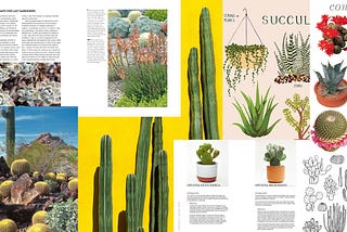Weekly Capstone Entry 4