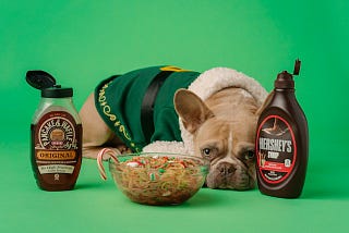 Beware of Festive Feasts: Foods Toxic to Dogs During the Holiday Season