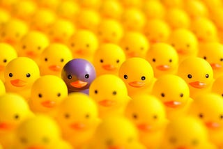 A group of yellow ducks, and a purple one in the middle.