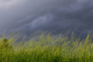 A snapshot of dark grey clouds over a field of grass swaying in the wind