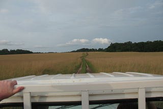 Photo of the plains of Africa taken from the back of an open-aire vehicle.