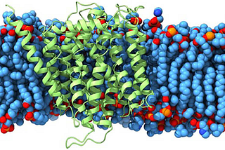 Maximizing Fraction-Based Drug Design