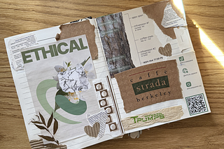 Rethinking Waste (ft. Zero Waste October)