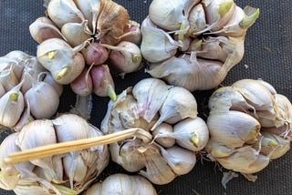 Ode to a Garlic Clove