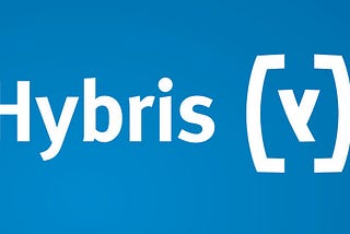 How We Ignore DB Index Field in Hybris