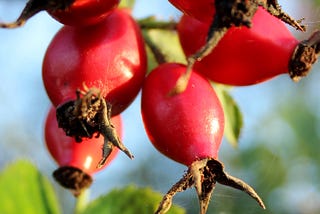 7 Simple, Natural Winter Remedies