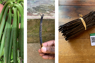 Three images in a row: First, A hand holds green vanilla beans with full pods, apparently just harvested. Each pod has a string of letters and numbers engraved onto it. Second, a hand holds a single bean that is dry and brown. The code engraving looks light brown against the dark bean. Third, a bundle of about 50 dried pods tied with a rubber band lay on a wooden table beside a small ID card belonging to a farmer. The card has a QR code and some illegible information on it.