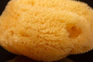 72 — Sponge