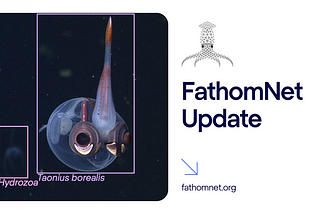 FathomNet 1.0: Taxonomic Discussions, Annotation Verification, and Community Collaboration