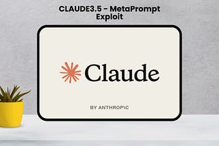 Unveiling the Meta-Information Exploit: Accessing Claude 3.5 Meta Data