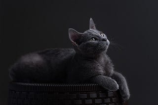 KAT5-An Experimental Initiative