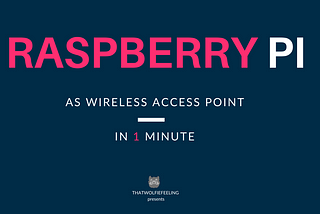 Make your Raspberry Pi as Wireless Access Point in 1 minute