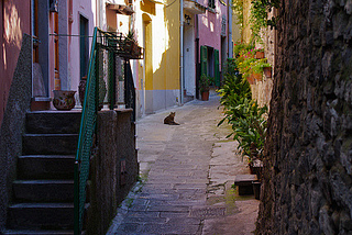 Narrow street in Porto Venere, Liguria, Italy