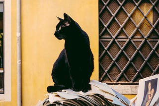 A sleek black cat sits atop a stack of scattered papers outdoors, gazing alertly to the left. Behind it, a yellow wall and a metal-gridded window create a warm, sunlit backdrop. A small print of a Renaissance-style portrait rests among the papers near the cat.