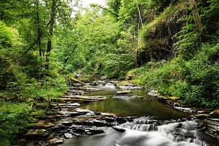 Java Streams for Beginners