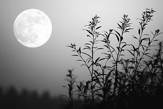 Dark Night Is Very Attractive Night