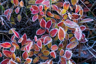 Winterizing Key Areas Around Your Houston Home