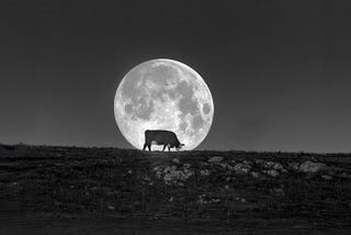 Jill’s Moon