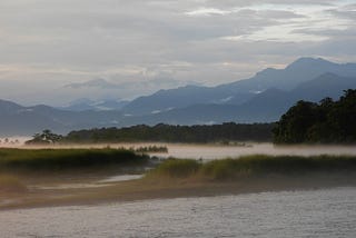 Nature’s Canvas